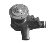 DAF Water Pump